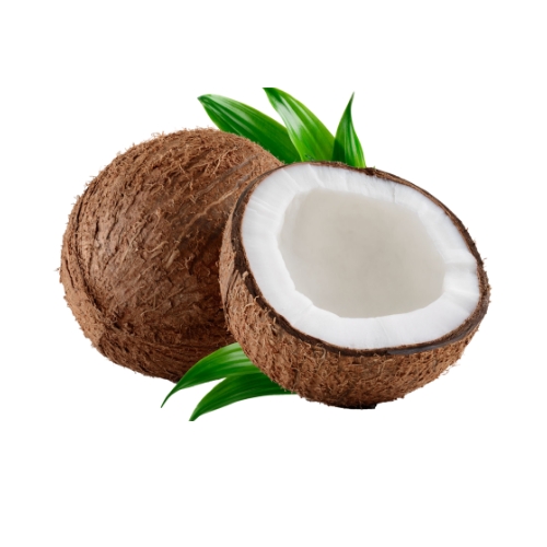 Cocos seleccionados por agricultores locales para exportación desde España a Europa, destinados al mercado mayorista