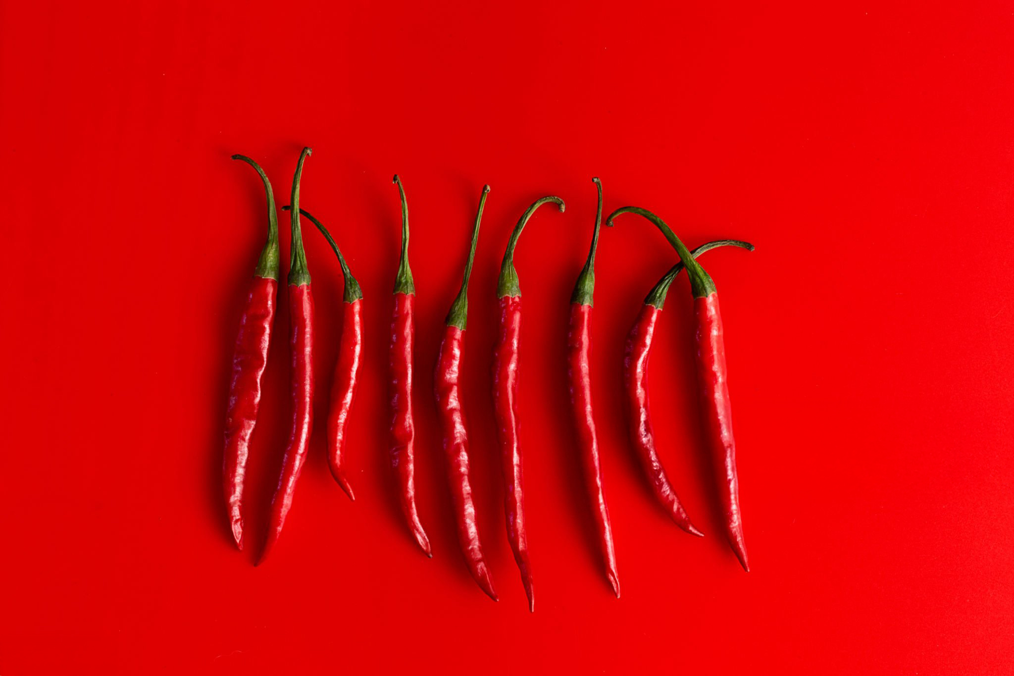Pimientos chillis seleccionadas por agricultores locales para exportación desde España a Europa, destinados al mercado mayorista