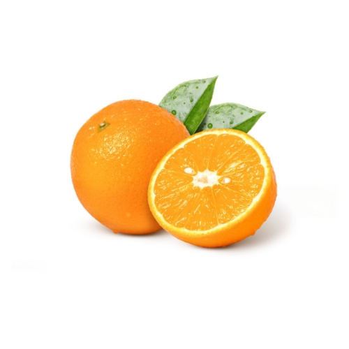 Naranjas seleccionadas por agricultores locales para exportación desde España a Europa, destinados al mercado mayorista