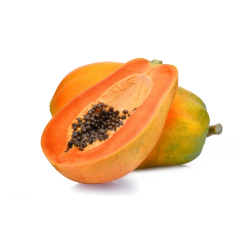 Papayas seleccionadas por agricultores locales para exportación desde España a Europa, destinados al mercado mayorista