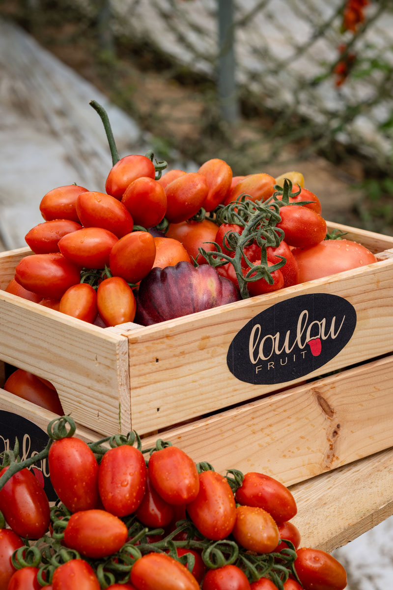 Frutas y verduras de calidad